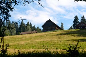 Grojerhof michaelerberg Ost-0089-2023-08-14.jpg