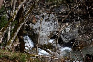 Kalte mandling023.jpg