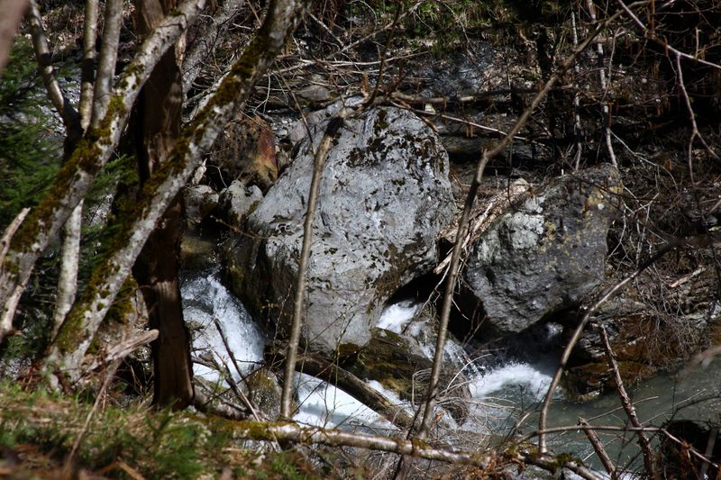 Datei:Kalte mandling023.jpg