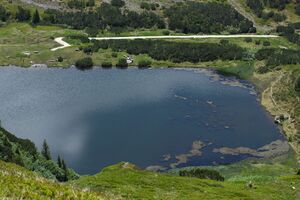 Plannersee 65252 2014-06-26.jpg