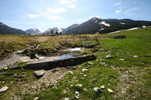 Rohrmooser Frei-1000-2014-04-07-3.jpg