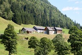 Schwab vlg magerl-0401-2023-08-19.jpg