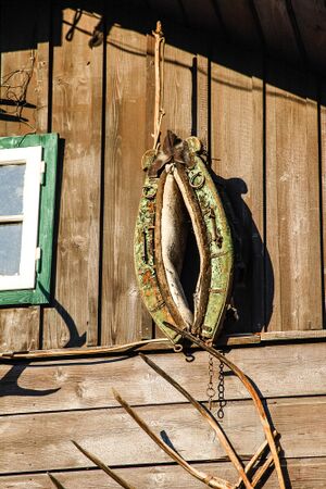 Stadler-häusl schladming-1013-2013-07-23.jpg