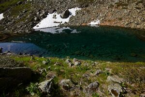 Stegerkarsee-2037-2021-06-21.jpg