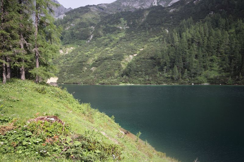 Datei:Steirersee südufer 51323 2017-06-24.jpg