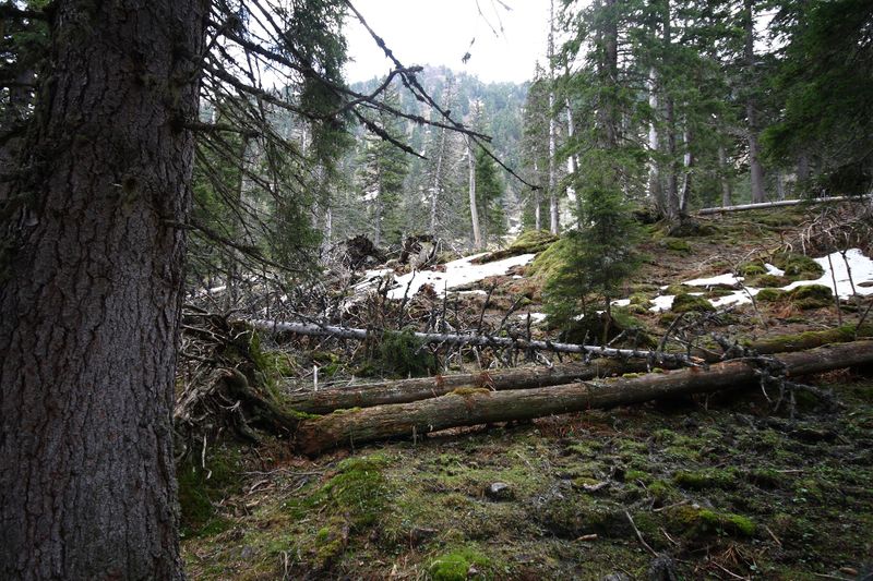 Datei:Strickerkar 55740 2014-05-02.jpg