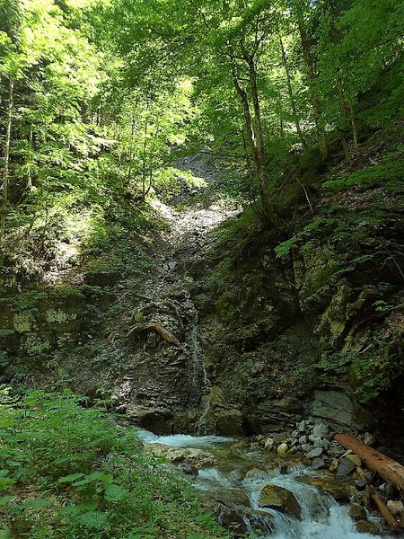 Datei:Ardningbach30662.JPG