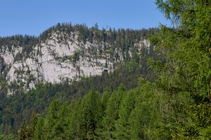 Bergerwand tauplitz-0127-2023-06-01.jpg