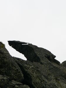 Grat schönkarlspitz-1080224-26. Juli 2008.jpg