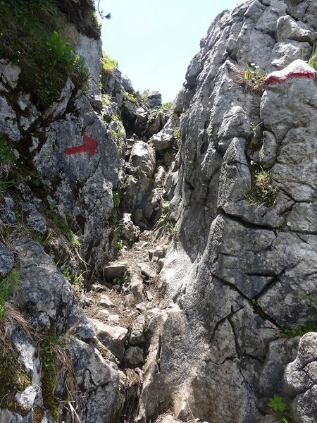 Datei:Großer Donnerkogel50187.JPG