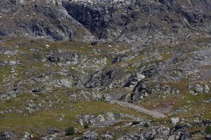 Grubachkar 02205 2015-09-11.jpg