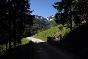 Gumpental 49654 2017-06-09.jpg