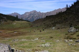 Innere alm 76431 2014-10-06.jpg