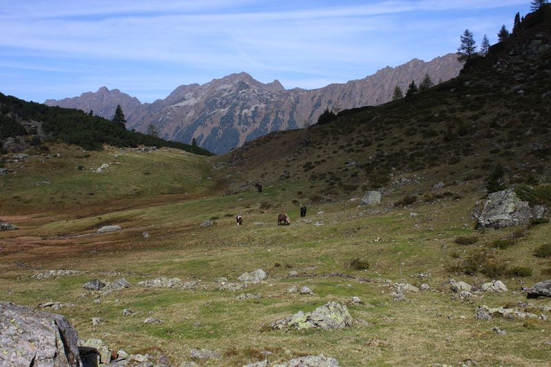 Datei:Innere alm 76431 2014-10-06.jpg