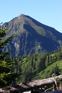 Kesselspitze-kolbalm 94918 2015-07-11.jpg