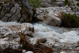 Marbach Quellbach Ramsau-54-2026-05-27.jpg