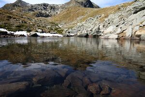 Südliche krukecklacke 01716 2015-09-13.jpg