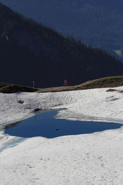 Datei:Augstsee loser 50344 2017-06-11.jpg