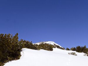 Ausseer ZinkenP1130292.JPG