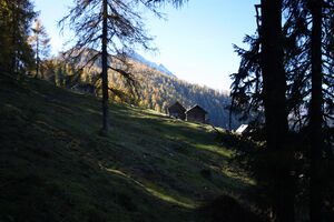 Berillenalm 10835 2015-10-27.jpg