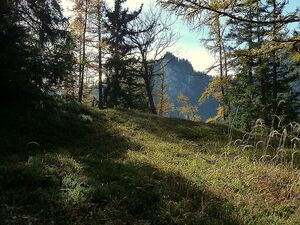 Burgstall (Pürgg)30980.JPG