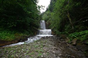 Dürrenbach haus 28011 2016-06-26.jpg