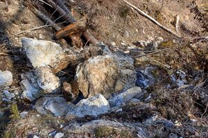 Felssturz luserfall-0039-2023-03-05.jpg