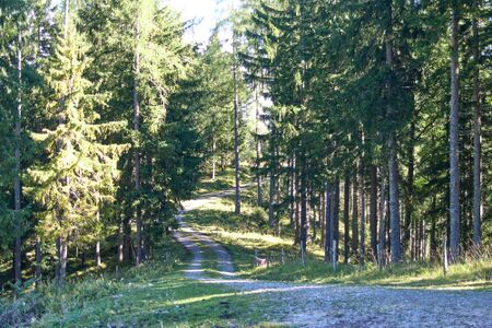 Finsterbachriedel reiflingviertel-0182-2025-09-15.jpg