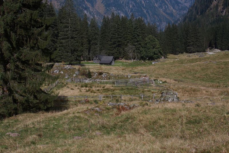 Datei:Grafenalm kleinsölk 74438 2014-10-07.jpg