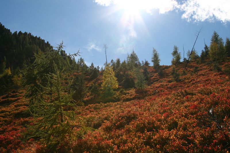 Datei:Guschen 19977 2007-09-28.jpg