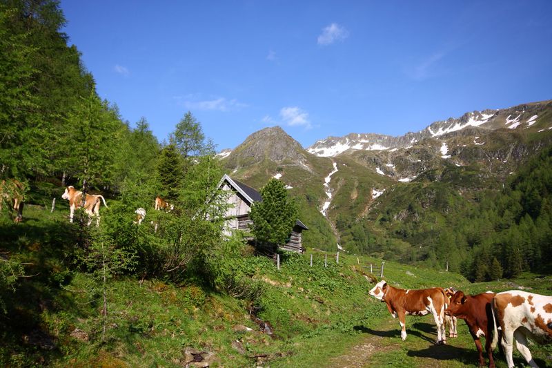 Datei:Katschtal 92561 2013-06-16.jpg