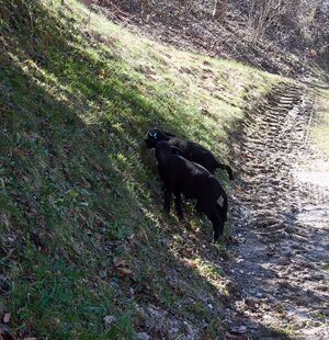 Kräuterbauernhof Percht-0015-2025-04-09.jpg