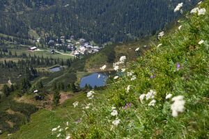 Plannersee 65237 2014-06-26.jpg