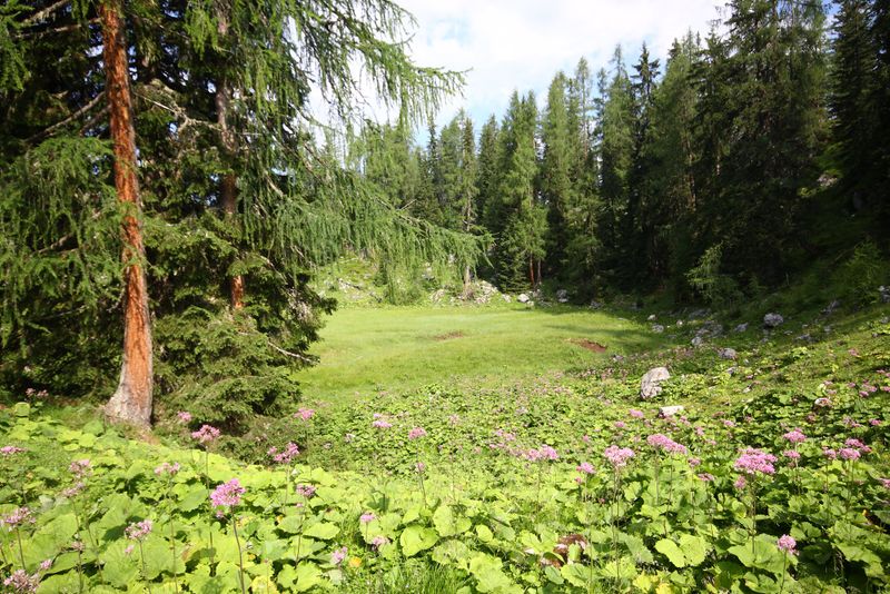 Datei:Prechtelsboden- kemetgebirge 96964 2015-07-16.jpg