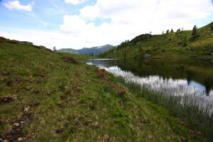 Schobersee 93196 2015-06-26.jpg