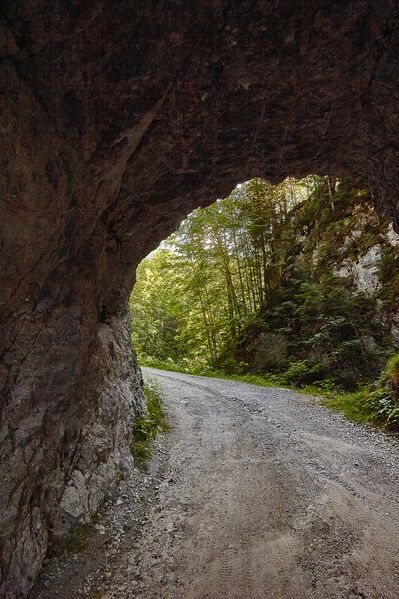 Datei:Teufelsklamm Johnsbach-2069-2021-07-03.jpg