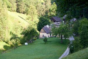 Vlg Brunnsteiner bergerviertel 13-0105-2025-06-18.jpg