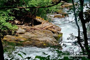 2025 06 22 Schladming Talbachklamm Wanderung 45.jpg
