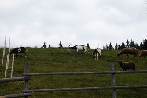 Aigneralm fastenberg 01189 2015-09-10.jpg