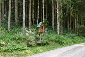 BST ennsbaum-0221-2025-06-18.jpg