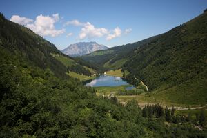 Bodensee 30317 2011-08-02.jpg