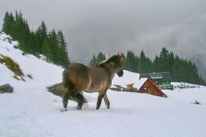 Duisitzkar 0151 2007-09-07.jpg