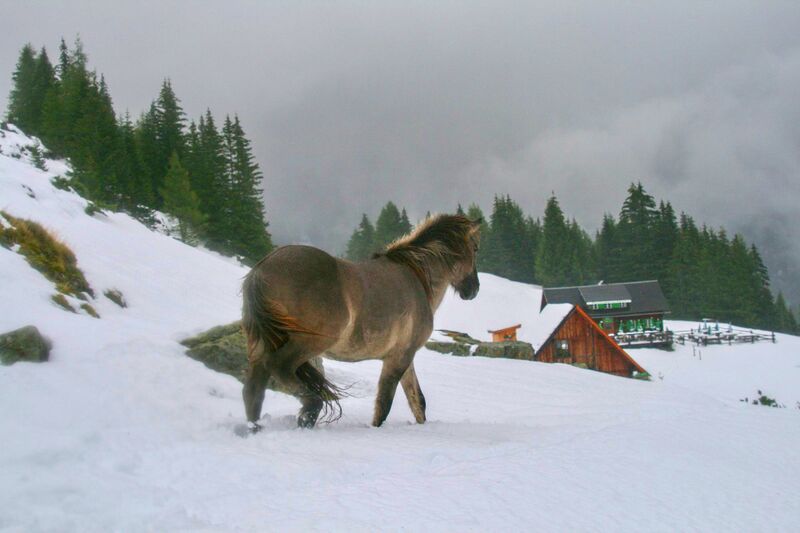 Datei:Duisitzkar 0151 2007-09-07.jpg