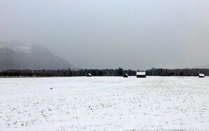 Ennsau Wörschach10821.JPG