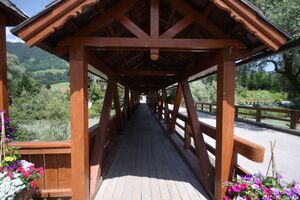 Ennsbrücke aich 7872.jpg