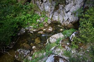 Gröbminger Bach - Öfen 97249 2015-07-16.jpg