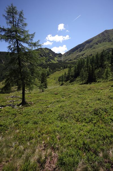 Datei:Gumpenkar 53196 2017-07-05.jpg