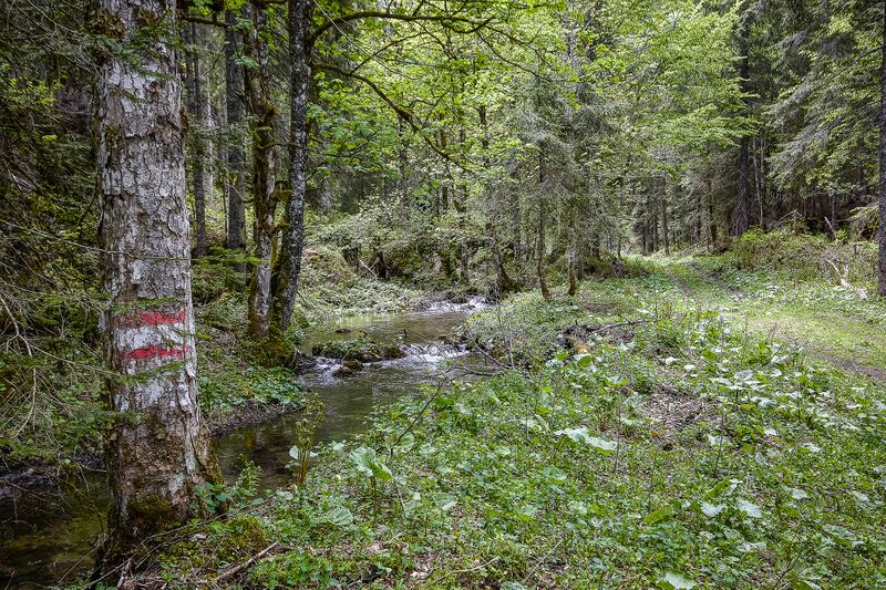 Datei:Höllboden hartelsgraben-1001-2021-06-05-2.jpg