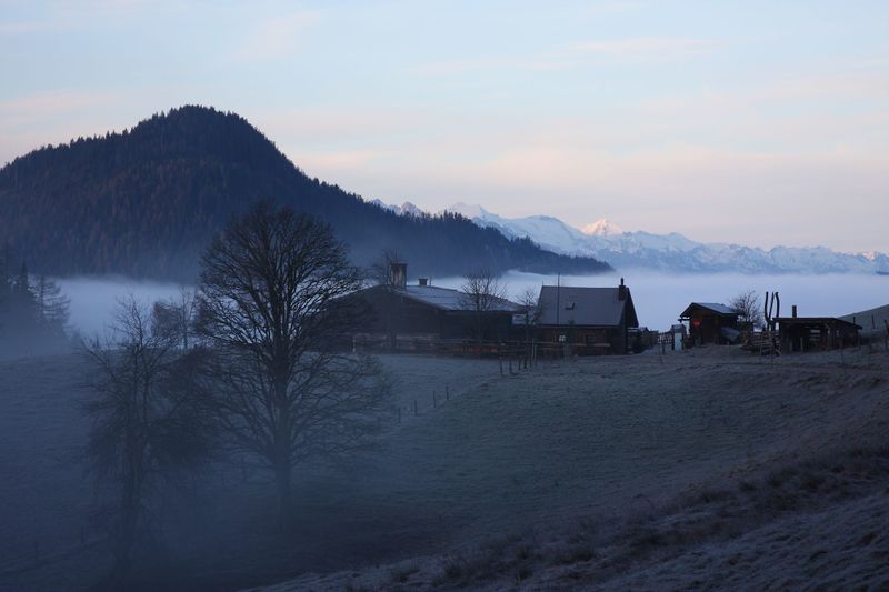 Datei:Halseralm-rittis 80045 2014-12-05.jpg