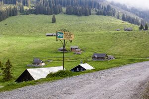 Hintereggeralm-0118-2022-05-18.jpg